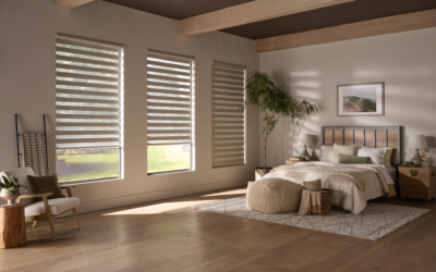 Choosing the Right Filtering Shades in Baton Rouge